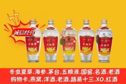 保定市博野回收老五粮液