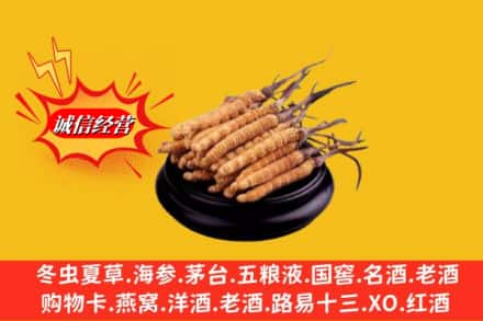 保定市博野求购回收虫草多少钱每克